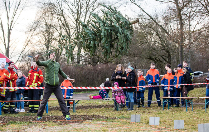 Wenn Nadelbäume fliegen - Bild 37_36