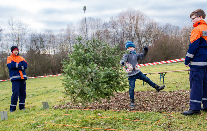 Wenn Nadelbäume fliegen - Bild 39_38