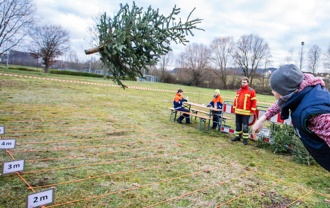 Wenn Nadelbäume fliegen - Bild 40_39