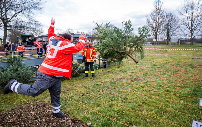 Wenn Nadelbäume fliegen - Bild 41_40
