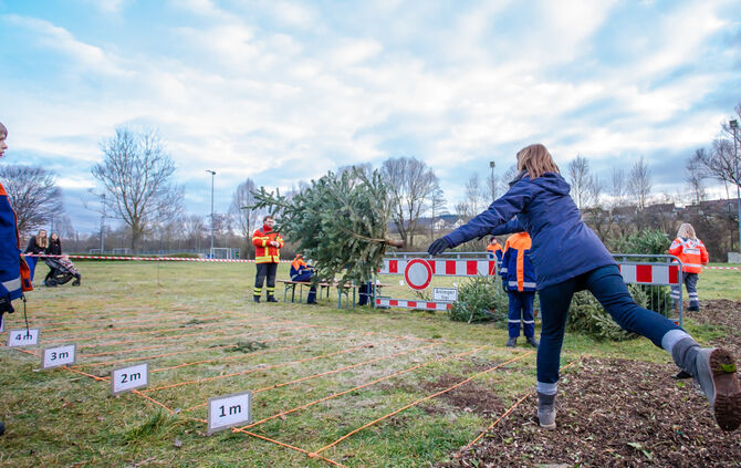 Wenn Nadelbäume fliegen - Bild 42_41