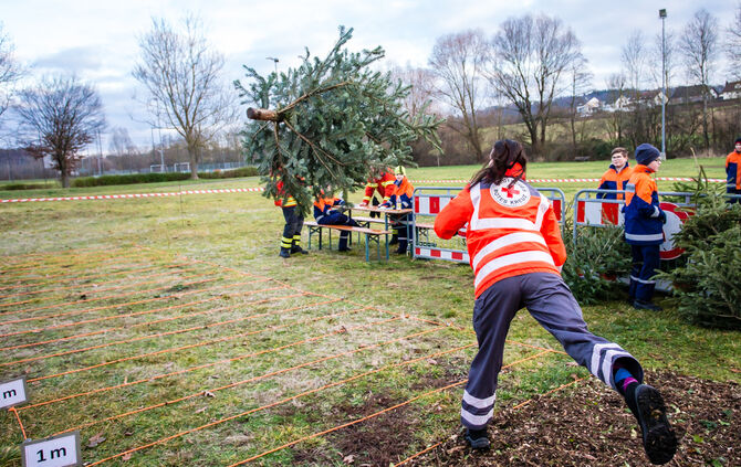 Wenn Nadelbäume fliegen - Bild 43_42