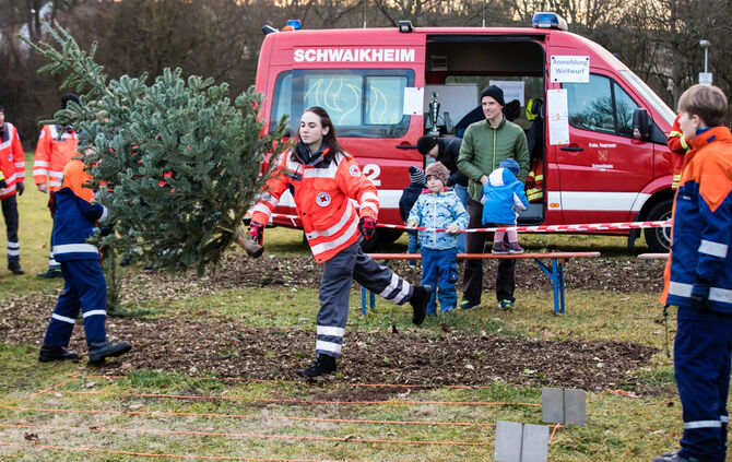 Wenn Nadelbäume fliegen - Bild 44_43