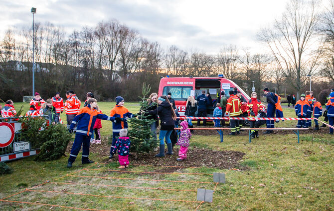Wenn Nadelbäume fliegen - Bild 46_45