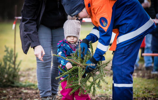 Wenn Nadelbäume fliegen - Bild 47_46