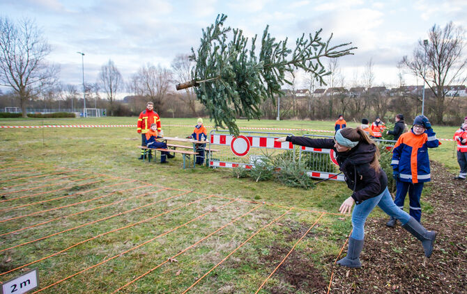 Wenn Nadelbäume fliegen - Bild 48_47