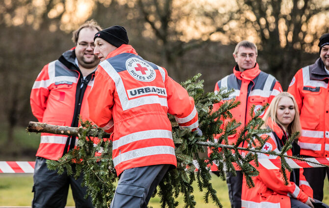 Wenn Nadelbäume fliegen - Bild 49_48