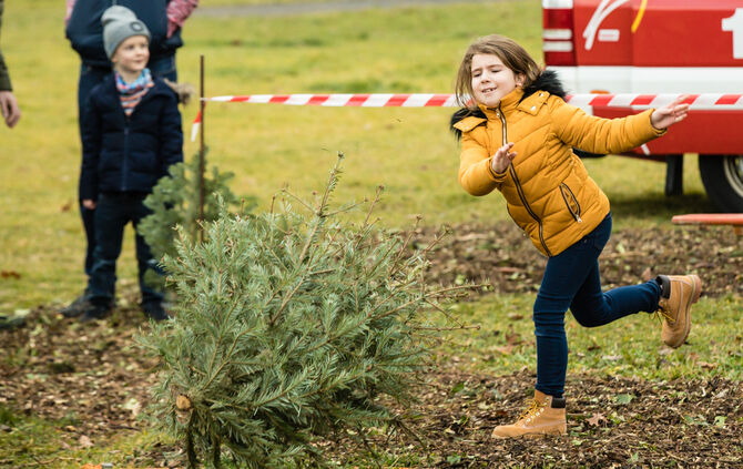 Wenn Nadelbäume fliegen - Bild 51_50