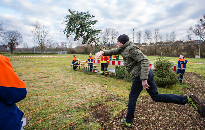Wenn Nadelbäume fliegen - Bild 53_52