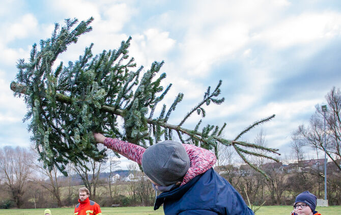 Wenn Nadelbäume fliegen - Bild 54_53