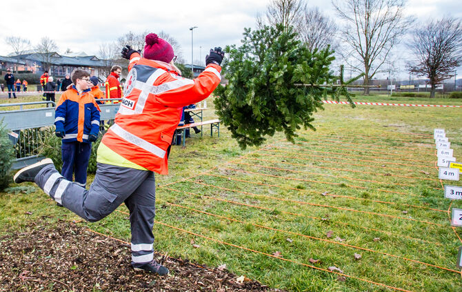Wenn Nadelbäume fliegen - Bild 55_54
