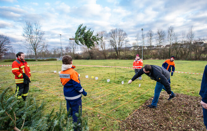 Wenn Nadelbäume fliegen - Bild 56_55