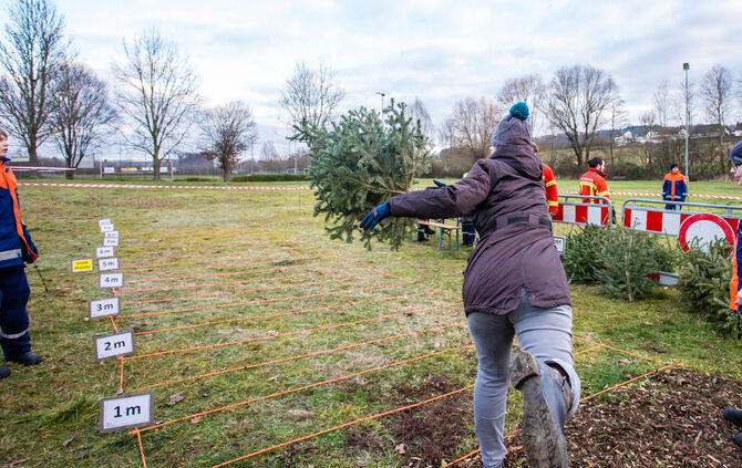 Wenn Nadelbäume fliegen - Bild 57_56