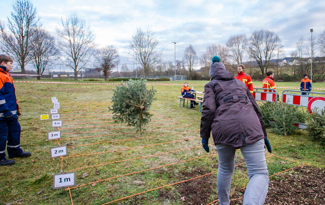 Wenn Nadelbäume fliegen - Bild 58_57