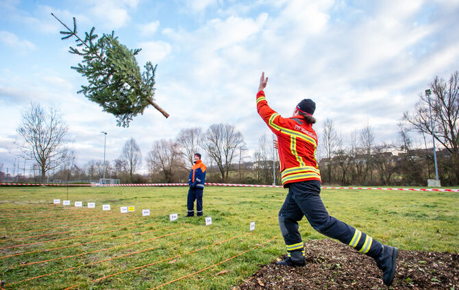Wenn Nadelbäume fliegen - Bild 59_58