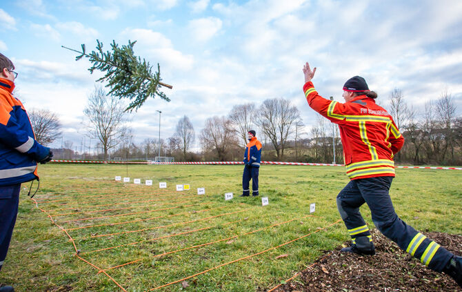 Wenn Nadelbäume fliegen - Bild 60_59
