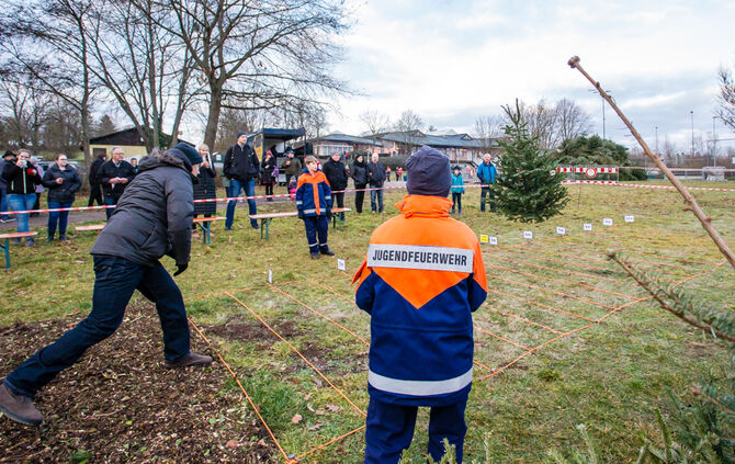 Wenn Nadelbäume fliegen - Bild 61_60