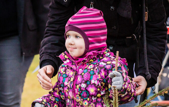 Wenn Nadelbäume fliegen - Bild 62_61