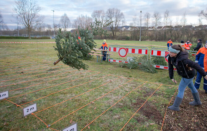 Wenn Nadelbäume fliegen - Bild 63_62