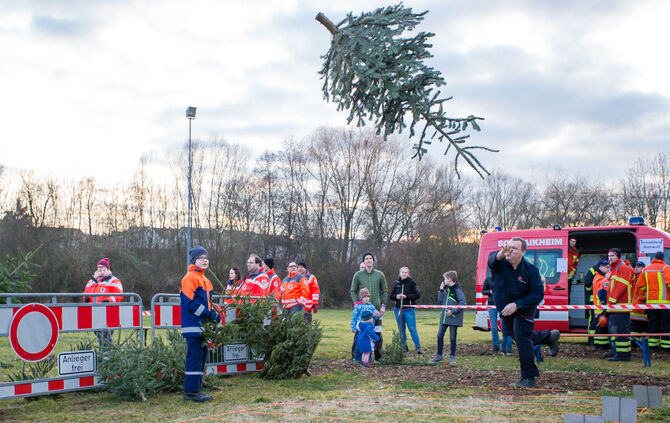 Wenn Nadelbäume fliegen - Bild 64_63