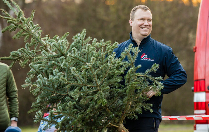 Wenn Nadelbäume fliegen - Bild 65_64