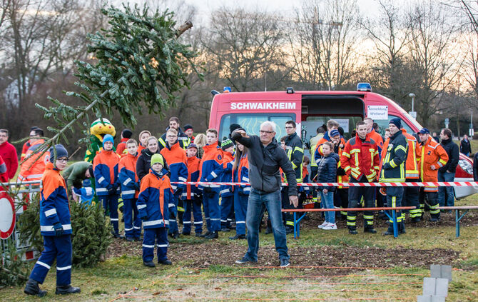 Wenn Nadelbäume fliegen - Bild 66_65