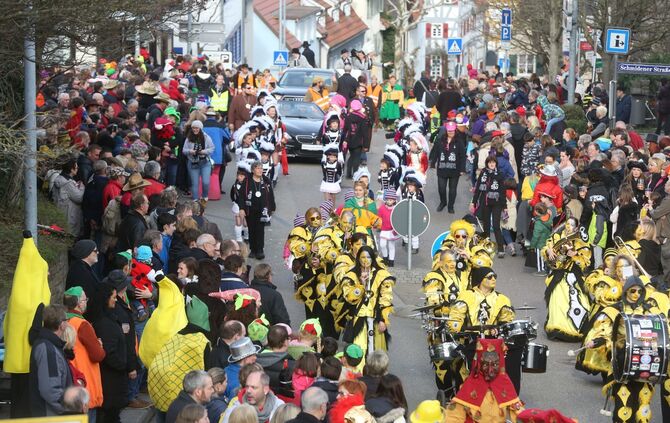Faschingsumzug Waiblingen_0