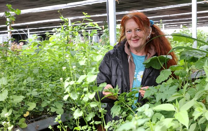 Naturstyle Gärtnerei