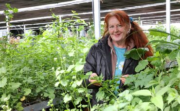 Naturstyle Gärtnerei