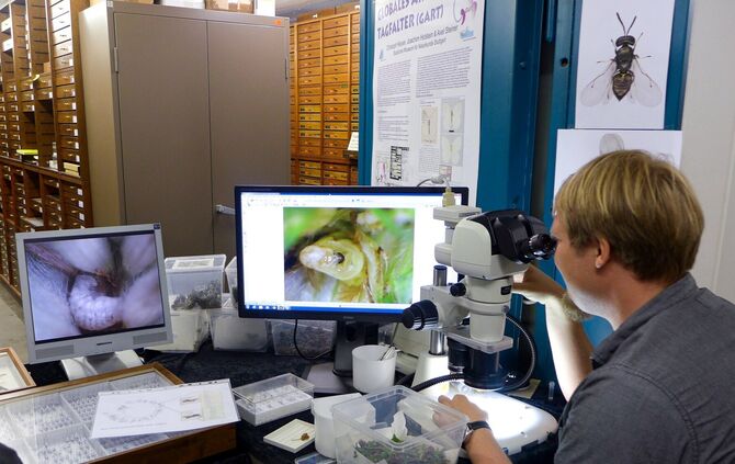 Bild 3_Tag der offenen Tür_SMNS_Wagner