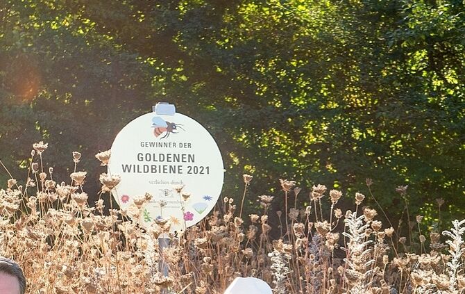 Die "Goldene Wildbiene"