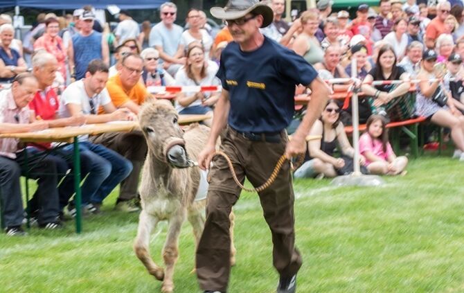 Berglen-Hoesslinswart: Eselrennnen