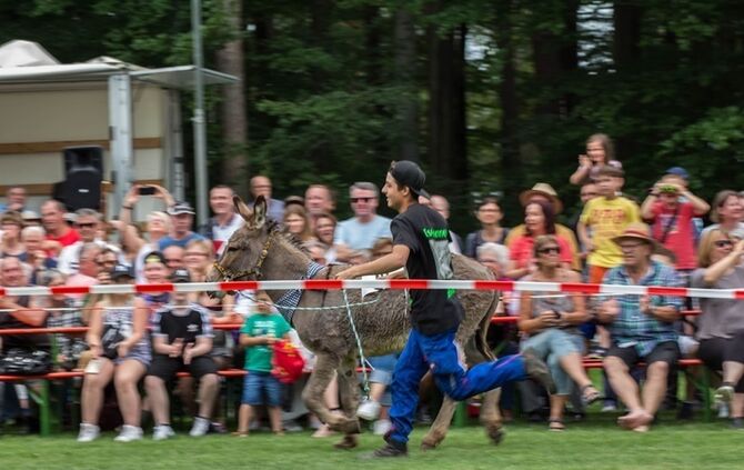 Berglen-Hoesslinswart: Eselrennnen