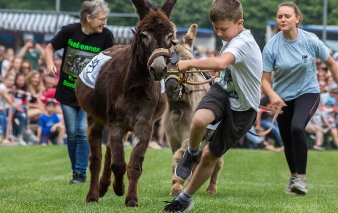 Berglen-Hoesslinswart: Eselrennnen