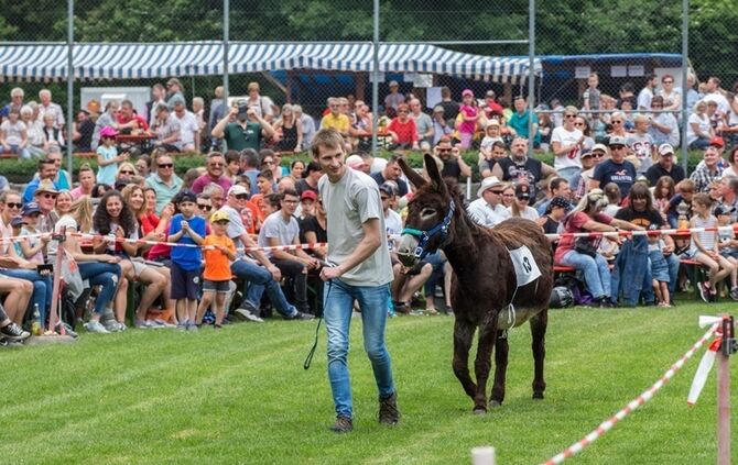 Berglen-Hoesslinswart: Eselrennnen