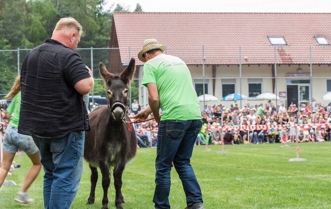 Berglen-Hoesslinswart: Eselrennnen