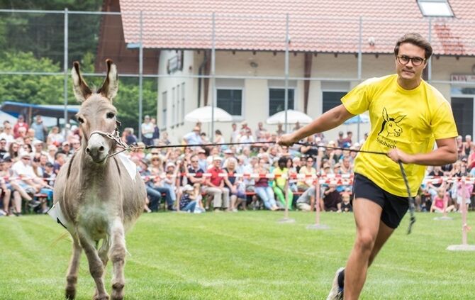 Berglen-Hoesslinswart: Eselrennnen
