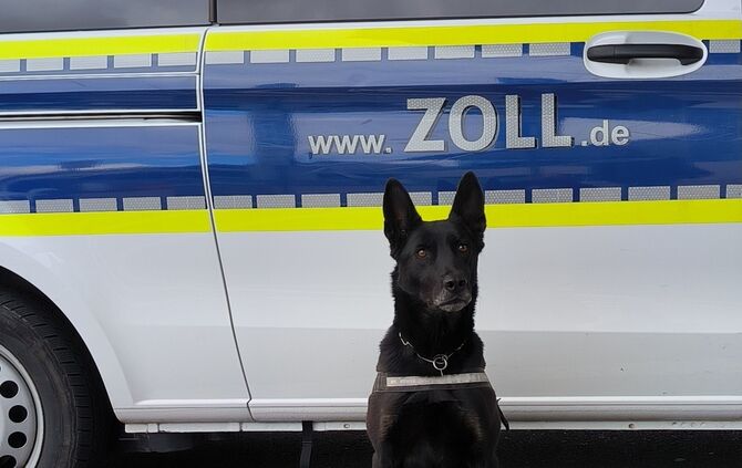 bella polizei stuttgart hund zoll spürhund
