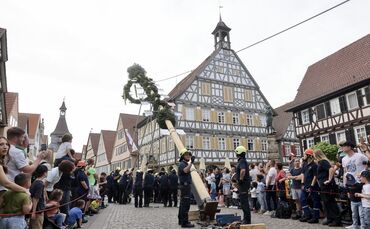 Maibaum 2024