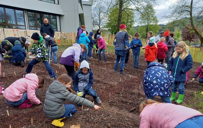 Plüderhausen, Hohbergschule, Gemüseackerdemie, erste Pflanzaktion 2024