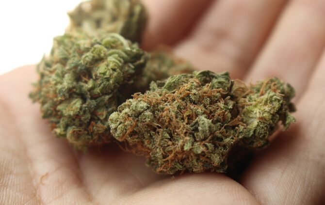 Kopie von Cannabis als Heilmittel