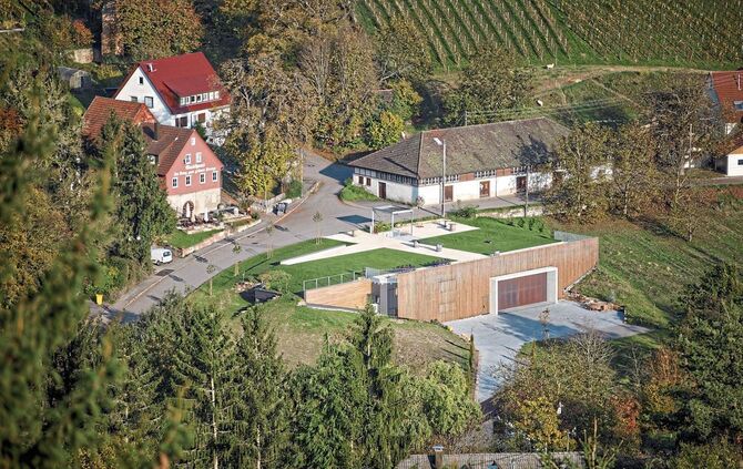 Weingut Gold_4
