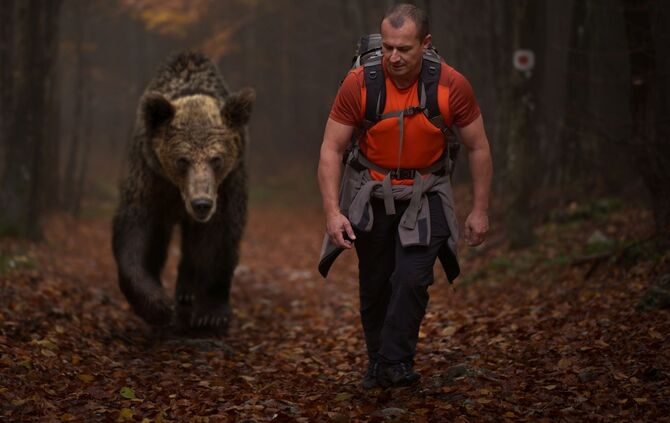 Man and grizzly hiking into the forests