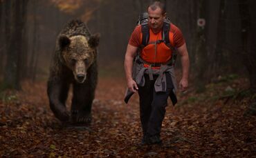 Man and grizzly hiking into the forests