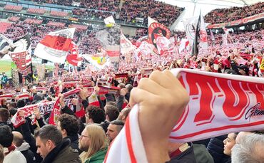 VfB-Fans