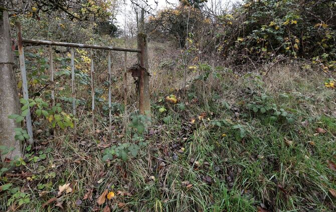 Kernen sagt verwilderten Stückle, Streuobstwiesen und Weinbergen den