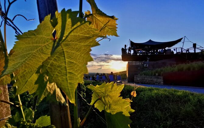 Sunsetlounge