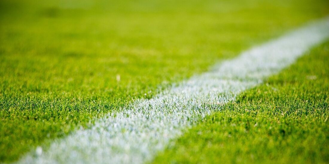 Fußball Rasen Sportplatz Symbol Symbolfoto