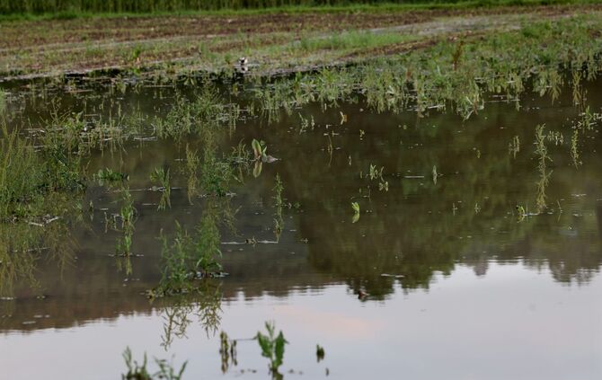 LandwirtschaftWasser