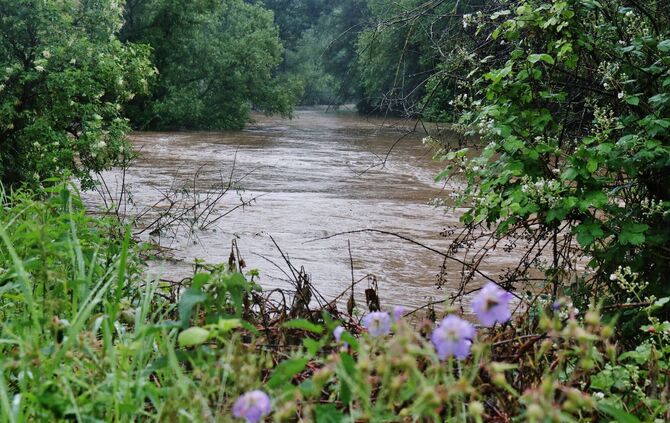 Hochwasser im Rems-Murr Kreis/Landkreis Göppingen: Erste Bilder der Rems bei Schorndorf - Vorbereitungen auf ein Starkregenereig